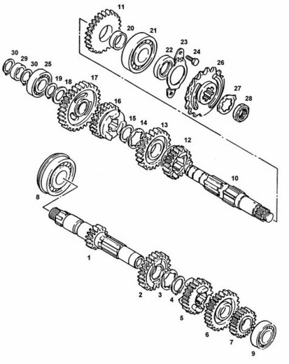 Ritzel 15 Zähne